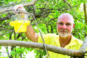 Together we can win the fruit fly fight, says Crisp