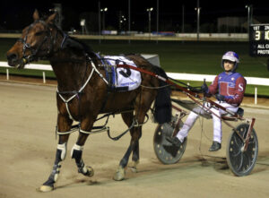 Prolific stable back on track