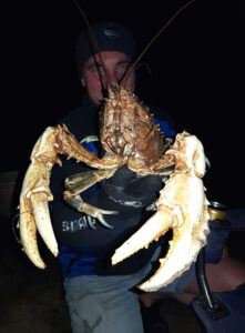 Cod Tales: Cray season a winter treat