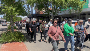 Community Walk Against Family Violence