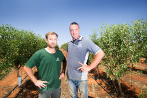 Kernel of a growing idea