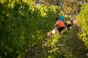 NSW extends overseas worker quarantine subsidy
