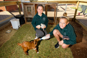 In the classroom: Pen friends at Irymple South Primary School