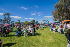 Spring into action and enjoy shows