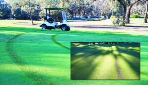 Anger over golf drive