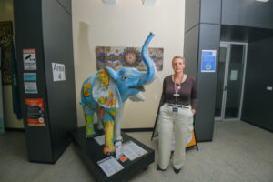Installation about the elephant in the room