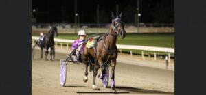 Entertaining Pacing Cup a good bet