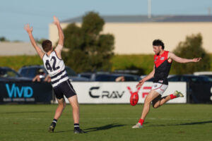 Souths back in dog house after Dees dish it out