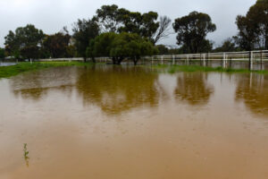 Mildura gets set for the next big wet