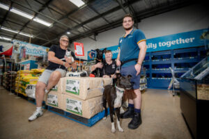 Pawfect pets in want of furever homes