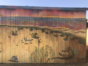 Dareton school murals part of learning program