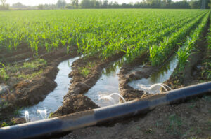 More input sought on water plans