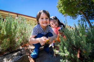 Kindergarten bush program