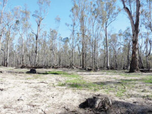 New options for the great outdoors