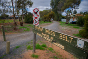Buckle up for green belt loop