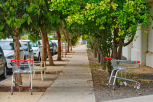 Mildura’s trolley folly a major worry