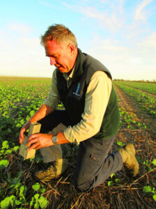 Time to stop outbreak risk