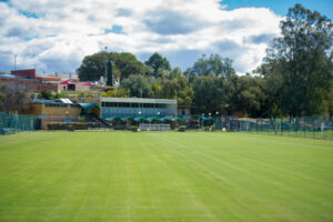 Grasscourts set for new season