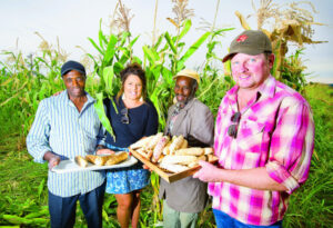 Harvest comes fresh from fields