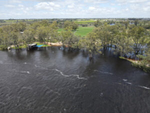 Mildura Ski Club Flood photos