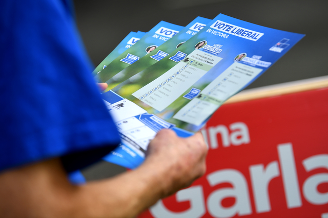 Libs boss quits over disparaging messages