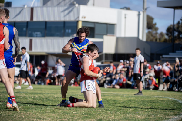 SFNL reports and tribunal