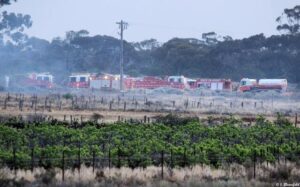 Bushfire season declared