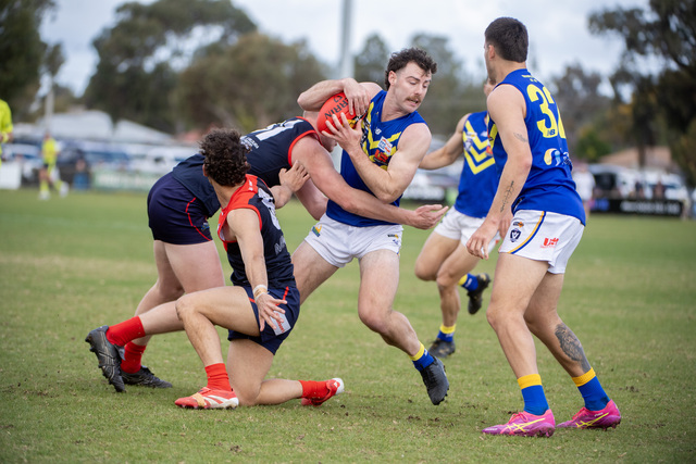 Swallows soar past Demons