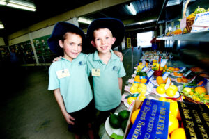 Show entries now open