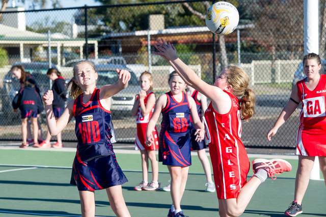 Netball extravaganza at the Precinct