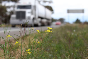Road network ‘below par’