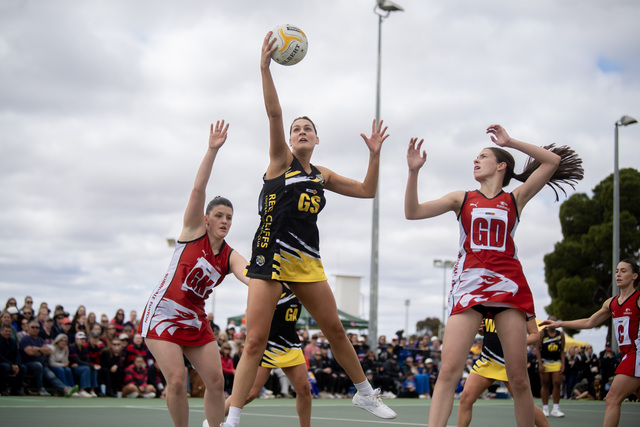 Tigers squeak take one goal win