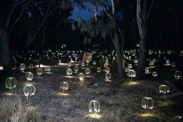 Local nights to light up trail