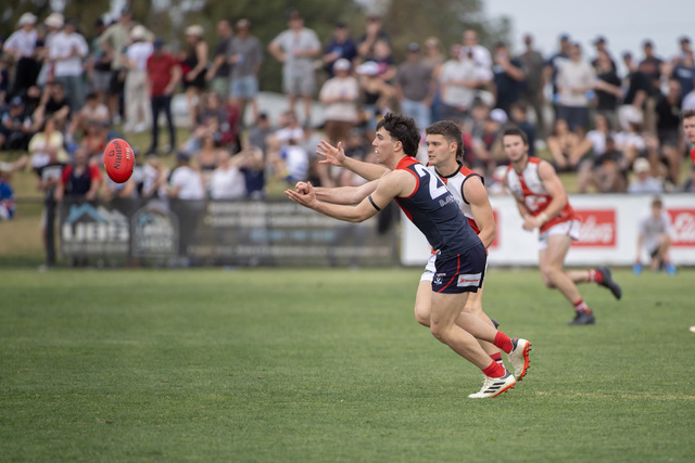 Zac zaps rising star accolade
