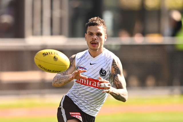 Magpies make brutal call