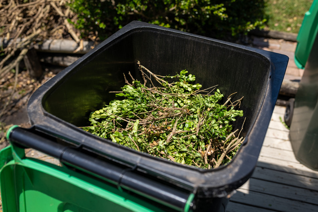 Green thumbs up for free disposal