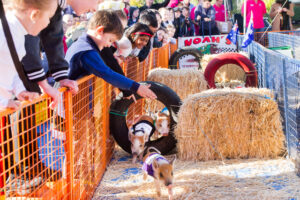 Crack the whip and get your family to the Mildura Show