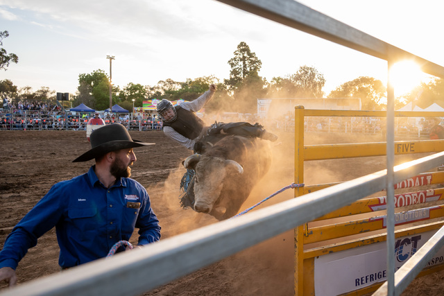 Rodeo roundup a barrel of fun