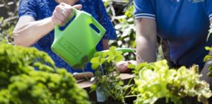 Applications are open for social action group