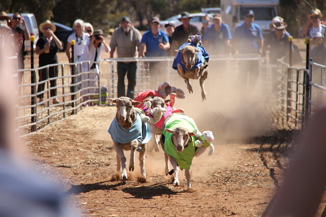 Mutton but fun