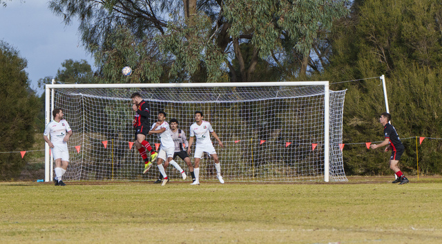 FFS seeks best fit for beautiful game’s future