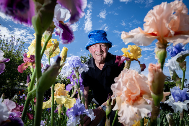 Cardy show ready to bloom