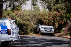 Gale force winds slam Mallee