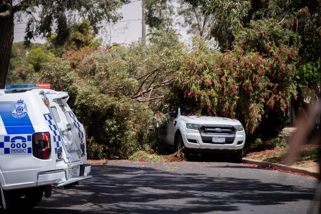 Gale force winds slam Mallee
