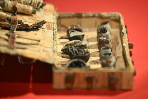 Exhibition celebrates power of healing
