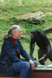 Wildlife advocate and primate expert Jane Goodall dies