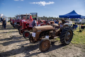 Vintage tractors pull more than their weight