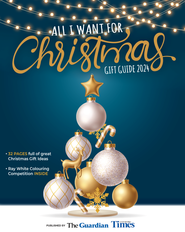 Christmas Gift Guide 2024