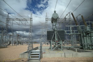 South West REZ to start biosecurity training