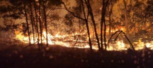 Summer fire outlook normal in Mallee
